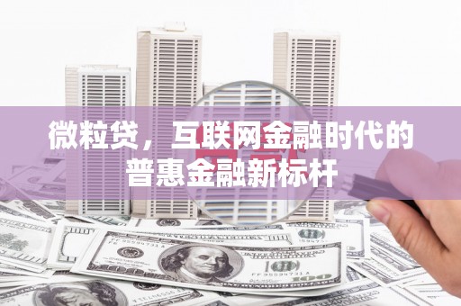 葵青微粒贷，互联网金融时代的普惠金融新标杆