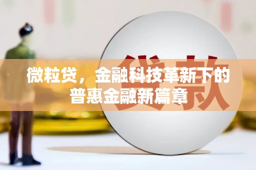 葵青微粒贷，金融科技革新下的普惠金融新篇章