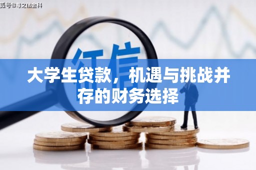 葵青大学生贷款，机遇与挑战并存的财务选择