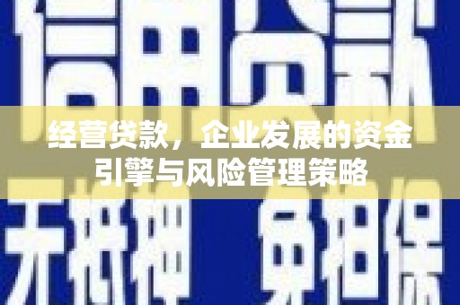 葵青经营贷款，企业发展的资金引擎与风险管理策略
