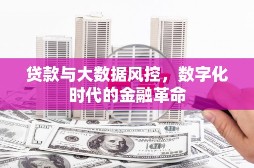 葵青贷款与大数据风控，数字化时代的金融革命