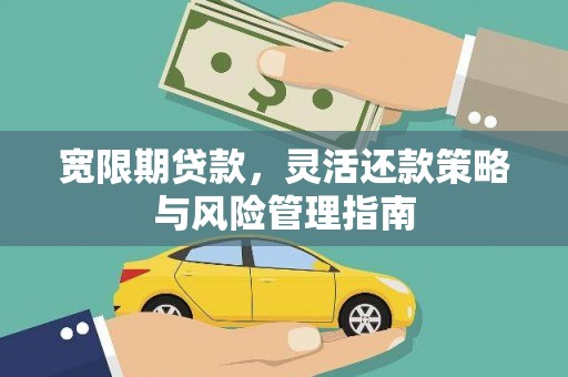 葵青宽限期贷款，灵活还款策略与风险管理指南