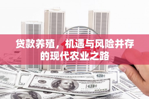 葵青贷款养殖，机遇与风险并存的现代农业之路