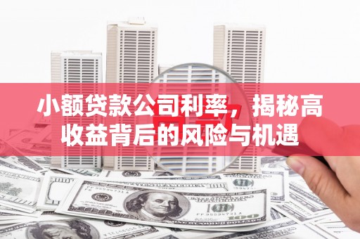 葵青小额贷款公司利率，揭秘高收益背后的风险与机遇