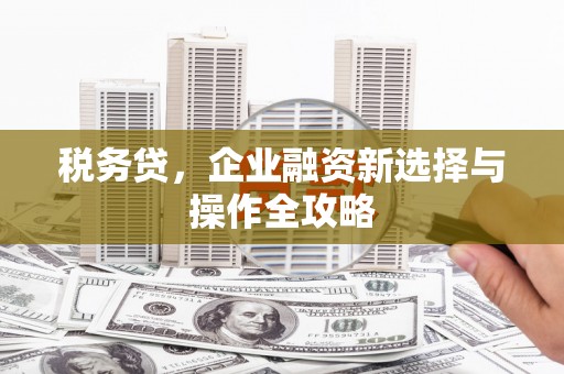 葵青税务贷，企业融资新选择与操作全攻略