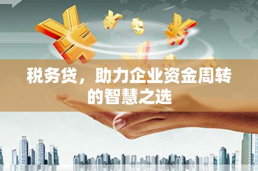 葵青税务贷，助力企业资金周转的智慧之选