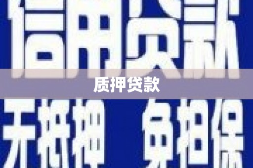 葵青质押贷款