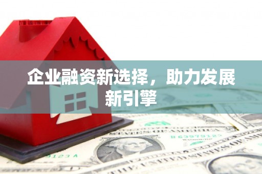 葵青企业融资新选择，助力发展新引擎