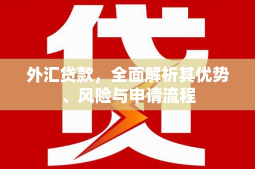 葵青外汇贷款，全面解析其优势、风险与申请流程