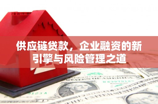 葵青供应链贷款，企业融资的新引擎与风险管理之道