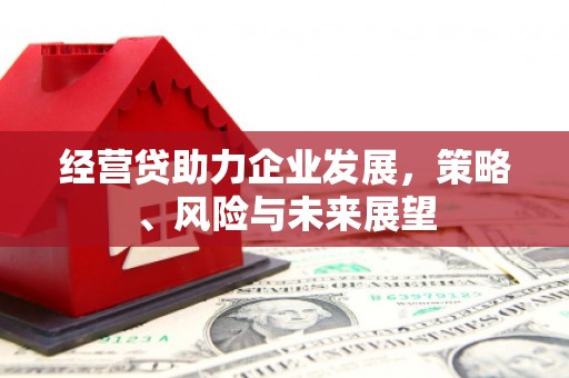 葵青经营贷助力企业发展，策略、风险与未来展望