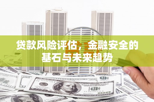葵青贷款风险评估，金融安全的基石与未来趋势