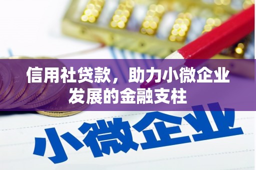 葵青信用社贷款，助力小微企业发展的金融支柱