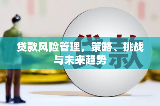 葵青贷款风险管理，策略、挑战与未来趋势