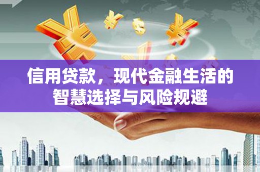 葵青信用贷款，现代金融生活的智慧选择与风险规避