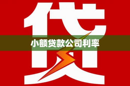 葵青小额贷款公司利率