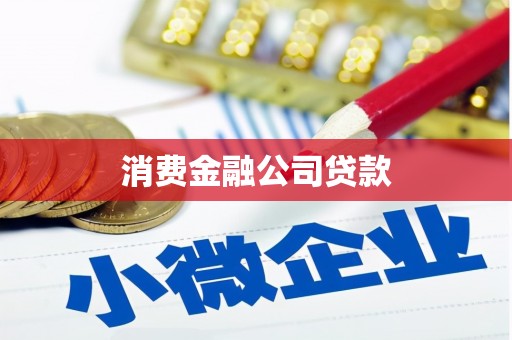 葵青消费金融公司贷款
