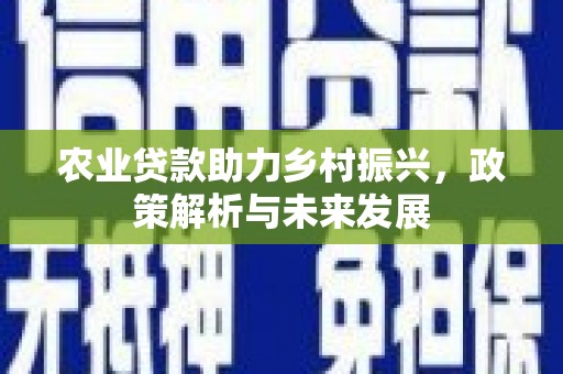 葵青农业贷款助力乡村振兴，政策解析与未来发展