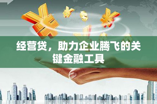 葵青经营贷，助力企业腾飞的关键金融工具