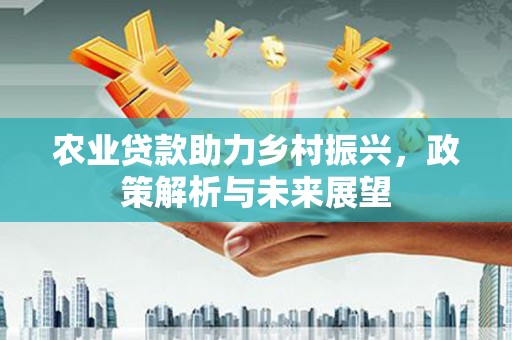 葵青农业贷款助力乡村振兴，政策解析与未来展望