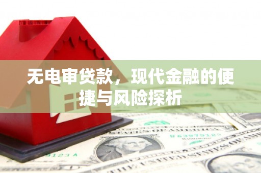 葵青无电审贷款，现代金融的便捷与风险探析
