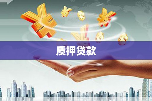 葵青质押贷款