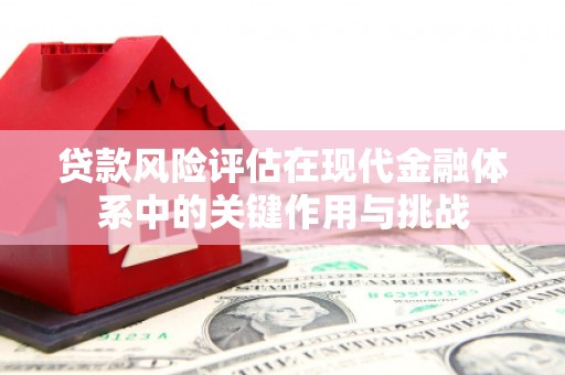葵青贷款风险评估在现代金融体系中的关键作用与挑战