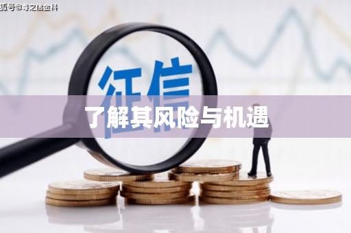 葵青了解其风险与机遇