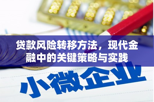 葵青贷款风险转移方法，现代金融中的关键策略与实践