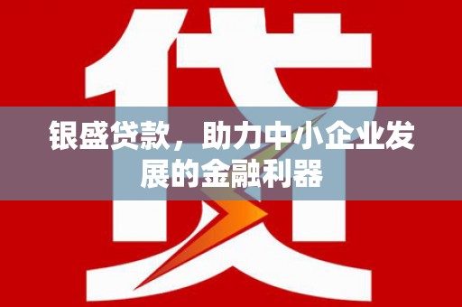 葵青银盛贷款，助力中小企业发展的金融利器
