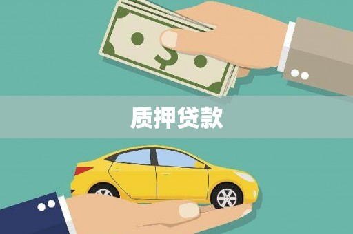 葵青质押贷款