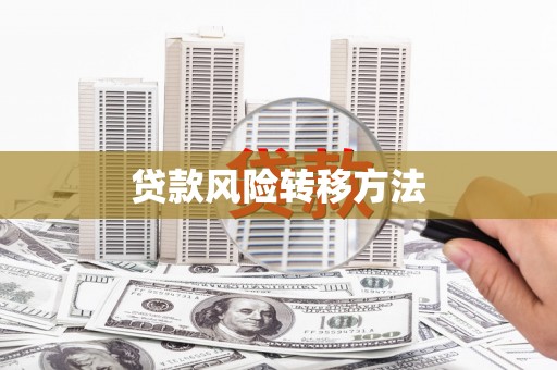 葵青贷款风险转移方法