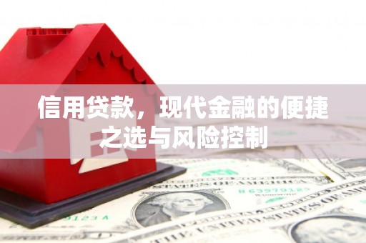 葵青信用贷款，现代金融的便捷之选与风险控制