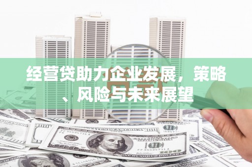 葵青经营贷助力企业发展，策略、风险与未来展望
