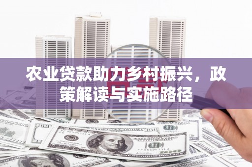 葵青农业贷款助力乡村振兴，政策解读与实施路径