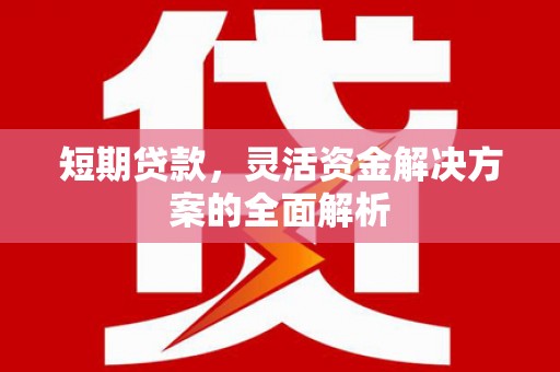 葵青短期贷款，灵活资金解决方案的全面解析