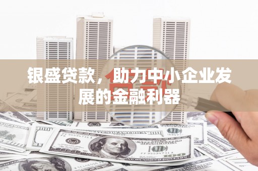 葵青银盛贷款，助力中小企业发展的金融利器