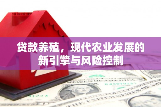 葵青贷款养殖，现代农业发展的新引擎与风险控制