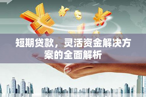 葵青短期贷款，灵活资金解决方案的全面解析