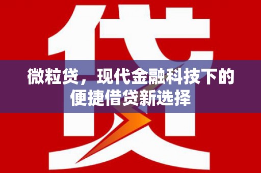 葵青微粒贷，现代金融科技下的便捷借贷新选择