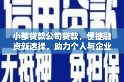 葵青小额贷款公司贷款，便捷融资新选择，助力个人与企业成长
