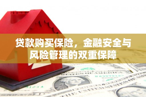 葵青贷款购买保险，金融安全与风险管理的双重保障