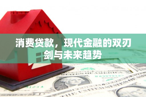 葵青消费贷款，现代金融的双刃剑与未来趋势
