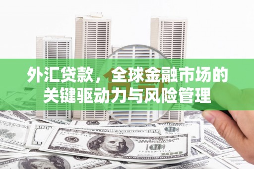 葵青外汇贷款，全球金融市场的关键驱动力与风险管理