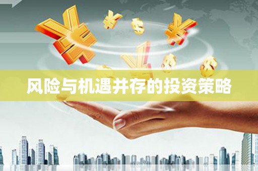 葵青风险与机遇并存的投资策略