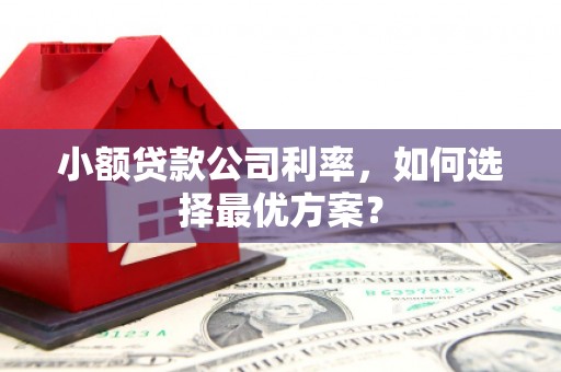 葵青小额贷款公司利率，如何选择最优方案？