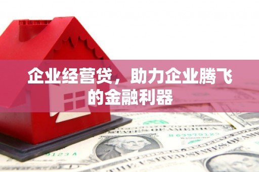 葵青企业经营贷，助力企业腾飞的金融利器