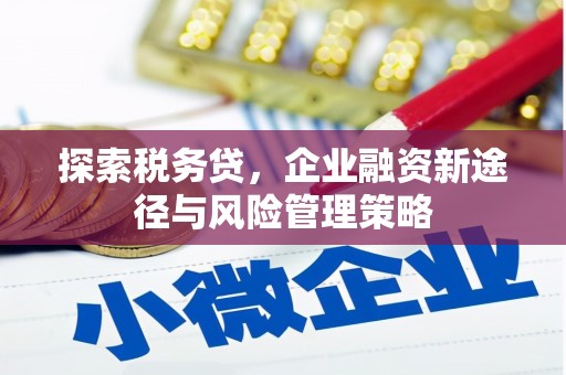 葵青探索税务贷，企业融资新途径与风险管理策略