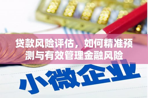 葵青贷款风险评估，如何精准预测与有效管理金融风险