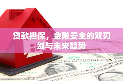 葵青贷款担保，金融安全的双刃剑与未来趋势